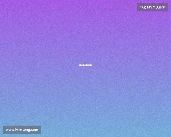 河北省武术套路比赛