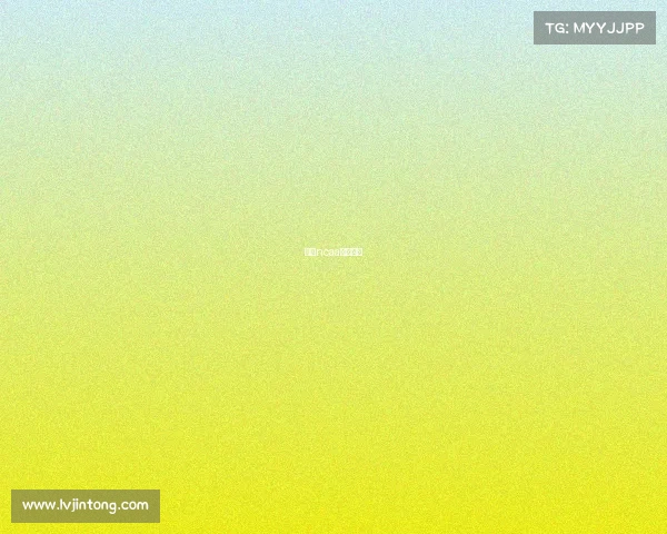 美国ncaa球队排名